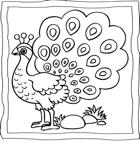 Peacock Coloring Book : Easy and Fun Peacock Coloring Pages for Kids | Made By Teachers