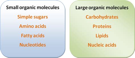 Notes on Biomolecules: The Molecules of Life ~ Biology Exams 4 U