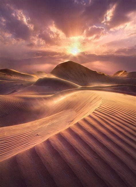 Sunset on desert sand dunes | NATURE'S FINEST 2 | Pinterest