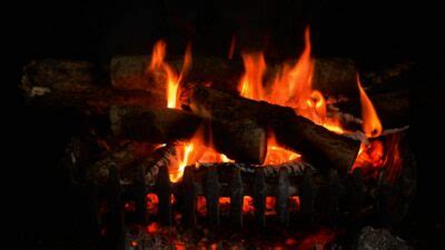 fireplace video loop free download - gaylord-pernin