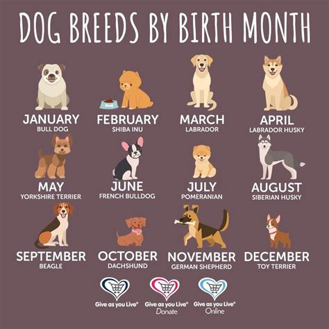 Birth month symbols – Artofit