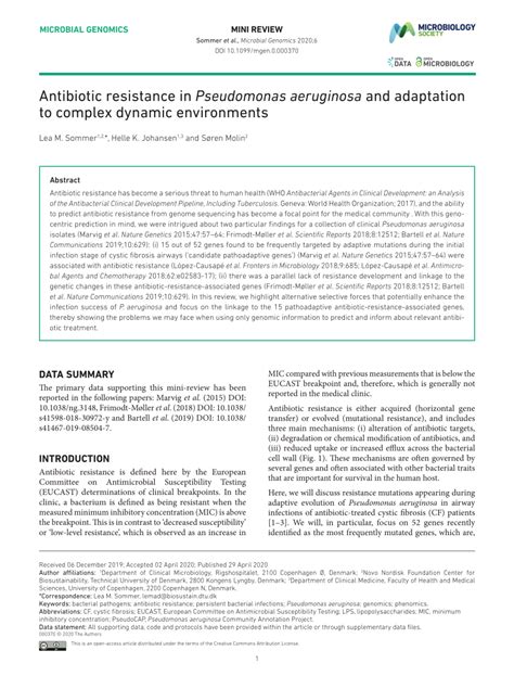 (PDF) Antibiotic resistance in Pseudomonas aeruginosa and adaptation to complex dynamic environments