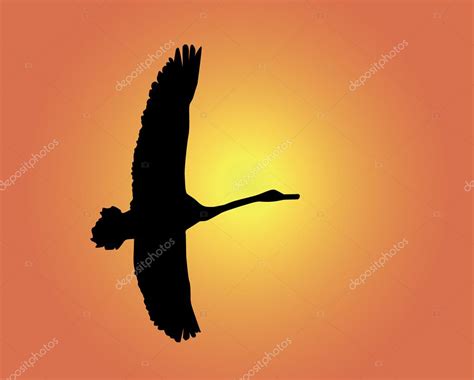 Silhouette of a flying swan — Stock Vector © mayboro #3165978