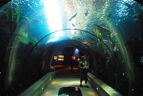 Tourism: Oregon Coast Aquarium