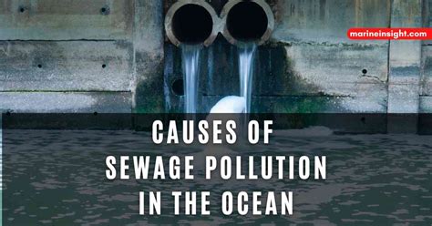 6 Causes Of Sewage Pollution In The Ocean