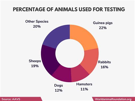 Animal Testing Statistics - Eye-Opening Facts You Must Know!