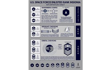 Space Force Rank Structure | My XXX Hot Girl