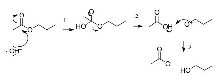 Ester Hydrolysis Mechanism