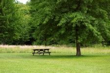 Picnic Table Free Stock Photo - Public Domain Pictures