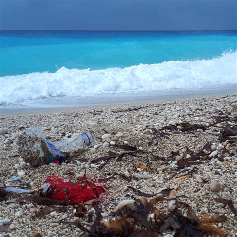 Marine Litter Watch: Litter on the beach | Kaggle