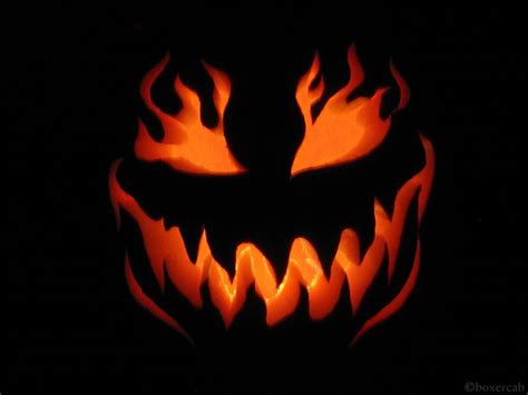 1000+ images about Halloween Jack-o-Lantern Ideas on Pinterest ...