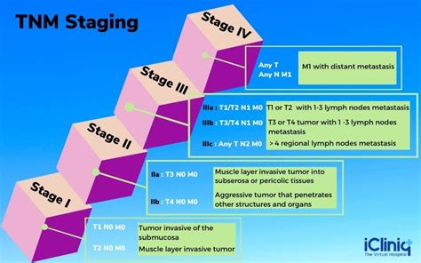 What Is the Importance of Cancer Staging?