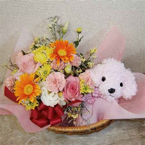 Poodle Flower Arrangement | Best Flower Site