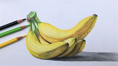 Color Pencil Drawing Of Fruit | Fruits drawing, Color pencil drawing ...