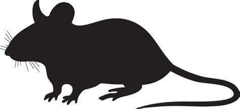 Rat Silhouette at GetDrawings | Free download