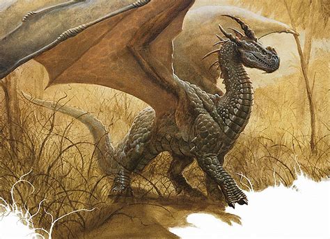 Image - IronDragon.jpg | Forgotten Realms Wiki | FANDOM powered by Wikia