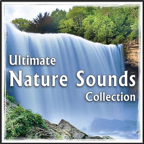 Amazon.com: Ultimate Nature Sounds Collection: for Healing, Yoga, Spa ...