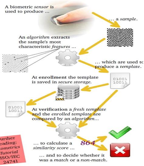 -Fingerprint recognition systems | Download Scientific Diagram