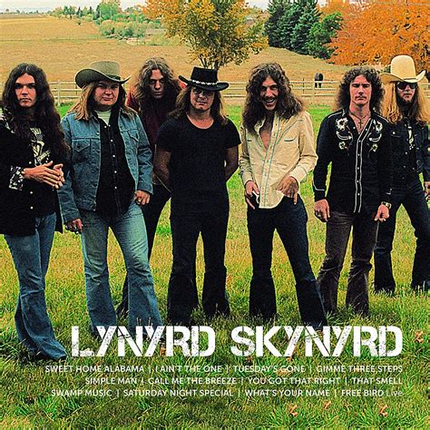 Lynyrd Skynyrd - ICON: Greatest Hits (Vinyl) - Pop Music