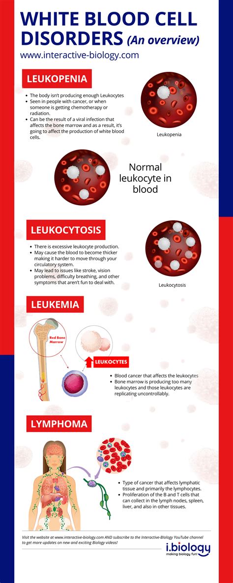 Disorders of Leukocytes/White Blood Cells - An Overview | Interactive Biology, with Leslie Samuel