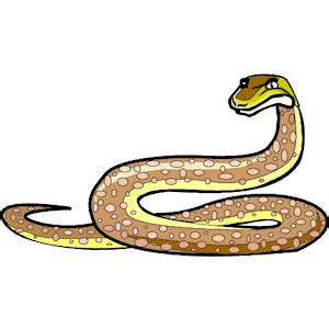 python clipart | Snake Python clipart, cliparts of Snake Python free ...