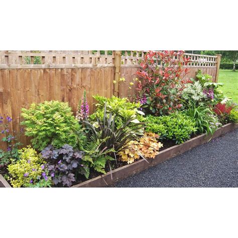 Homebase UK | Garden border plants, Garden borders, Backyard garden design