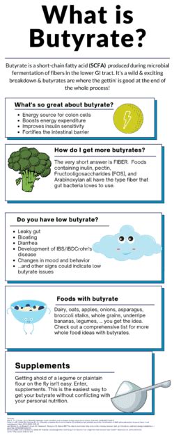 Butyrate Postbiotics-What Are They and where can I find Them ...