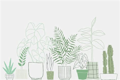 Free Vector | Potted plant doodle vector background with blank space