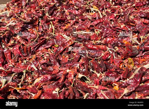 Red Paprika growing at Bethlehem of Galilee, Israel Stock Photo - Alamy