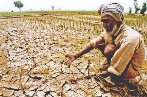 Challenges before Indian agricultural sector - Farmer News: Government ...