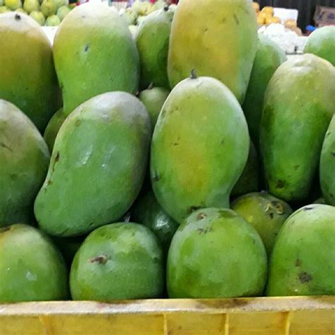 Harga Mangga Harum Manis - malaykiews