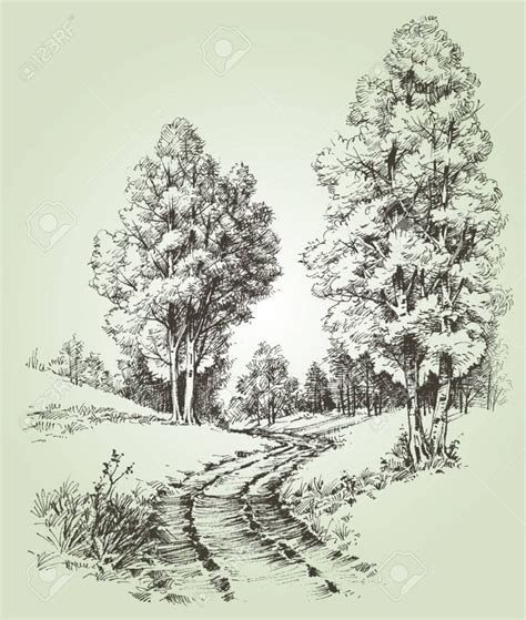 A path in the forest Stock Vector - 55852552 | Landscape sketch ...