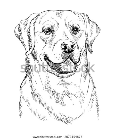 19,724 Pencil Sketch Dog Images, Stock Photos, 3D objects, & Vectors ...