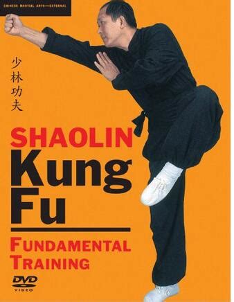 Shaolin Kung fu Techniques and Training in China - Learn Shaolin Kungfu in China