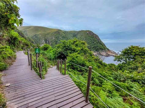 The Suspension Bridge at Tsitsikamma National Park Walk - The Scribs ...