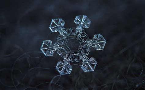 Snowflake Wallpaper HD