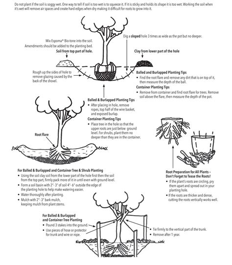 Planting Instructions - The Growing Place