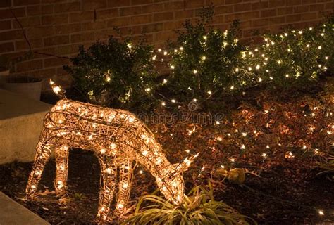 Deer (outdoor Christmas Lights) Stock Photo - Image of reindeer, decorated: 370820