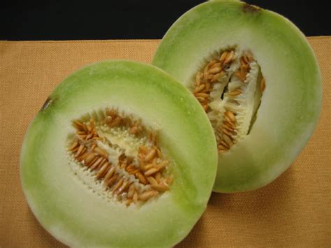 Honeydew Melon - Seeds, Calories, Health Benefits, Nutrition Facts and Recipes - Only Foods