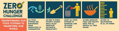 The Zero Hunger Challenge – the Way to Achieve Sustainable World - AGRIVI