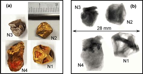 Gold samples measured in the experiment. (a) Photographs of analyzed... | Download Scientific ...