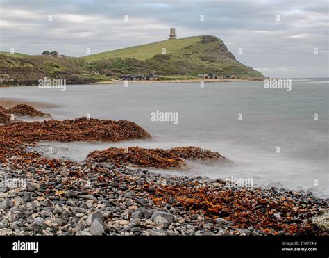 Kimmeridge Bay fossil hunting, Dorset, UK Stock Photo - Alamy