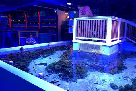 NEW Must Visit Destination Aquarium Center in Oshkosh!