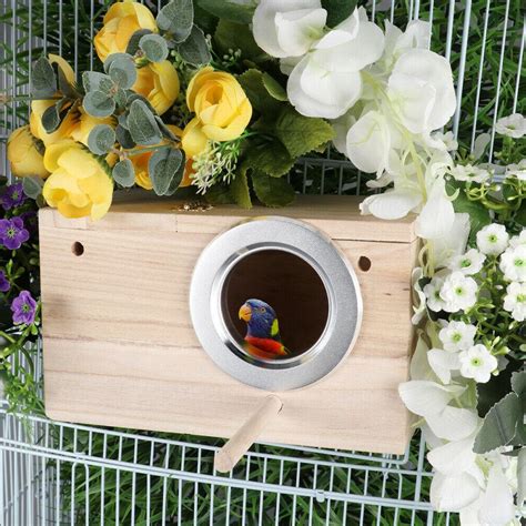 When To Remove Your Parakeet’s Nest Box | Master Parrot