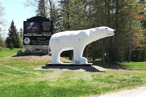 Cochrane Polar Bear Habitat could close - Timmins News