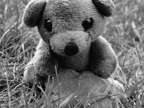 Free Images : black and white, cute, wildlife, mammal, teddy bear, sad, toys, vertebrate, koala ...