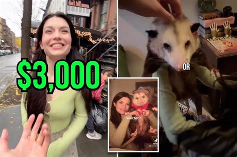 Woman shares $3K NYC apartment with her pet possum