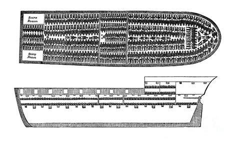 Slavery: Slave Ship, 1858 by Granger