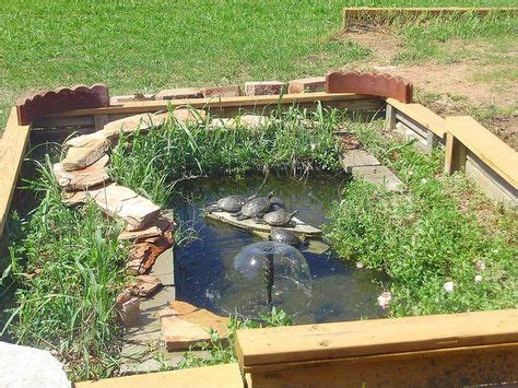 99 Best Water Turtles images | Turtle habitat, Pet turtle, Turtle pond