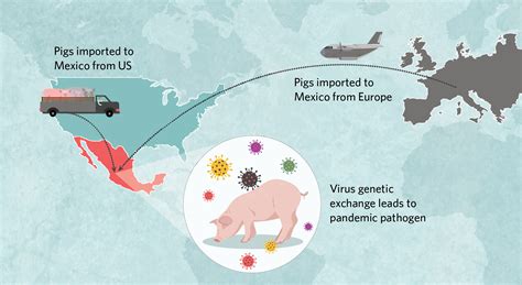 Infographic: How H1N1 Came to Spark a Pandemic in 2009 | TS Digest ...